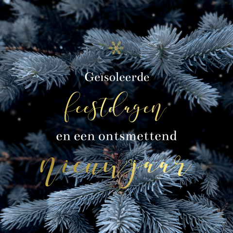 Kerstkaart geïsoleerde feestdagen en een ontsmettend nieuwjaar