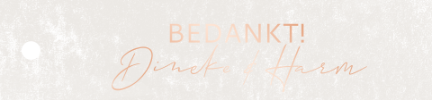 Labeltje voor bedankje met roséfolie - 8,5 bij 2 cm per 16 stuks