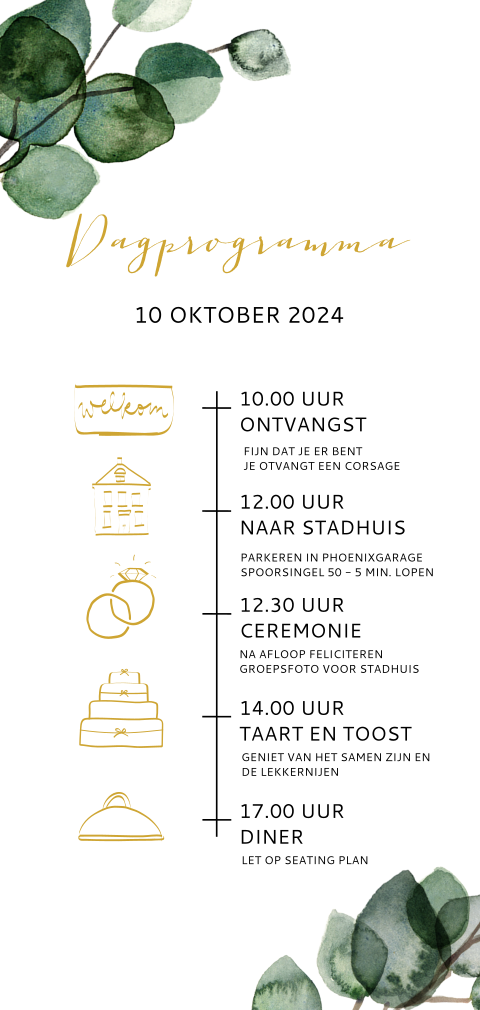 Dagprogramma met icoontjes
