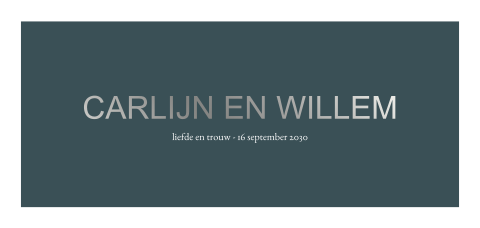 Minimalistische trouwkaart met namen in zilverfolie