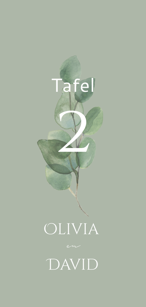 Tafelnummer met eucalyptus blaadje