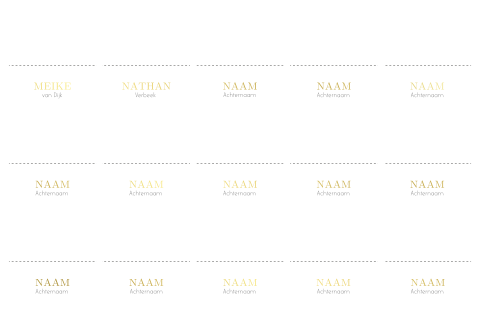 Bruiloft naamkaartjes met goudfolie