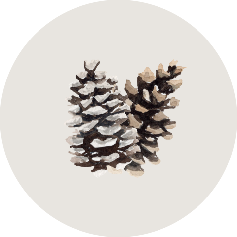 Kerst sticker met denneappel