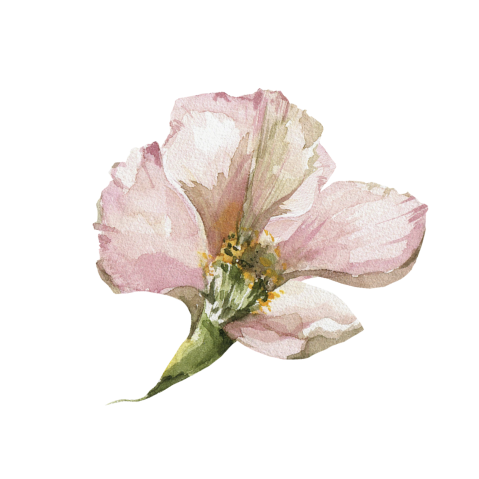 Vintage sluitsticker bruiloft met roze bloem