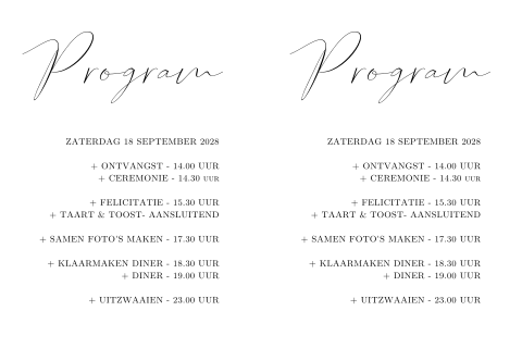 Stijlvol programmakaartje bij trouwkaart