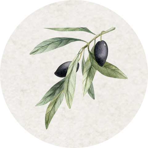 Sluitzegel bij trouwkaart met olijftakje