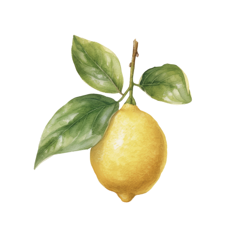 Sluitsticker met citroentjes