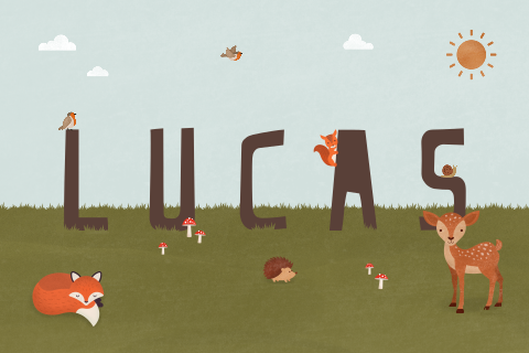 geboortekaartje Lucas met bosdieren
