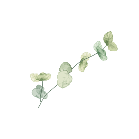 sluitsticker met groen takje