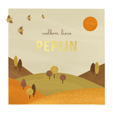 geboortekaartje Pepijn met landschap en vogels
