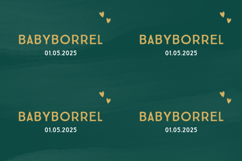 diy kraamborrelkaart leon