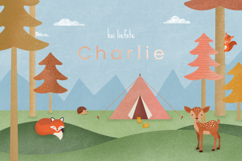 geboortekaartje meisje kamperen met bosdieren