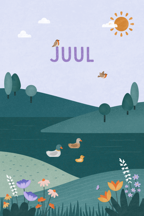 geboortekaartje Juul met eendjes in de natuur