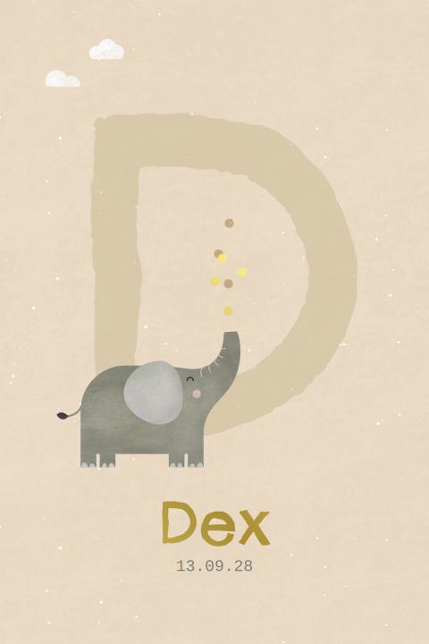 geboortekaartje Dex met olifant en confetti
