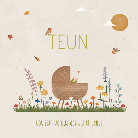 geboortekaartje Teun herfst met wiegje