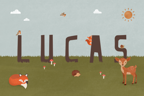 poster lucas met bosdiertjes