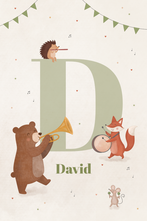 feestelijk geboortekaartje David met initiaal en muzikale dieren
