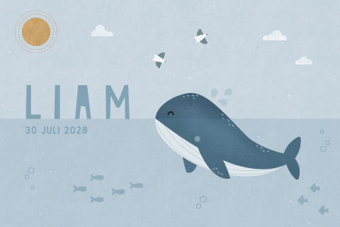 geboortekaartje Liam met walvis