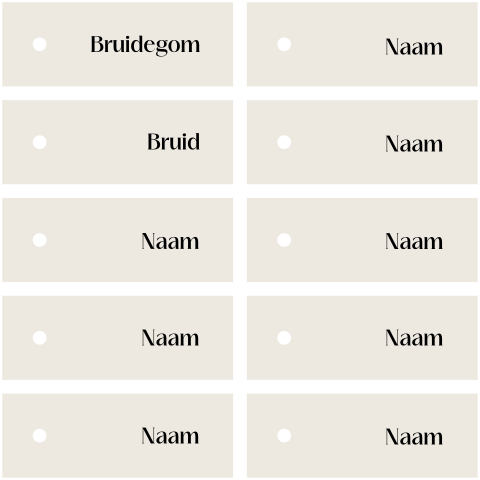 naamkaartjes 10 st met perforatiegat  10x3,7 cm