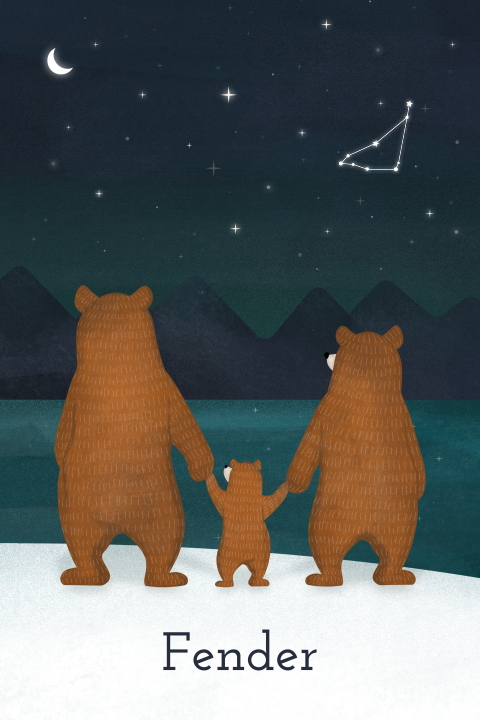 geboortekaartje Fender met beren kijkend naar sterren winter