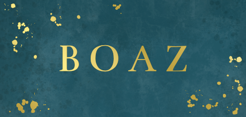 Geboortekaartje jongen panorama naam en verfspetters in goudfolie