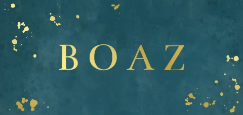 Geboortekaartje jongen panorama naam en verfspetters in goudfolie