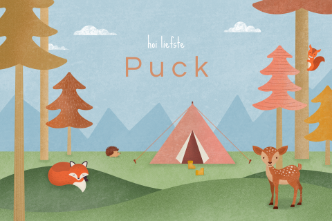 geboortekaartje Puck kamperen met bosdieren dubbel