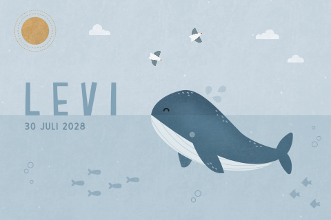 geboortekaartje Levi met walvis