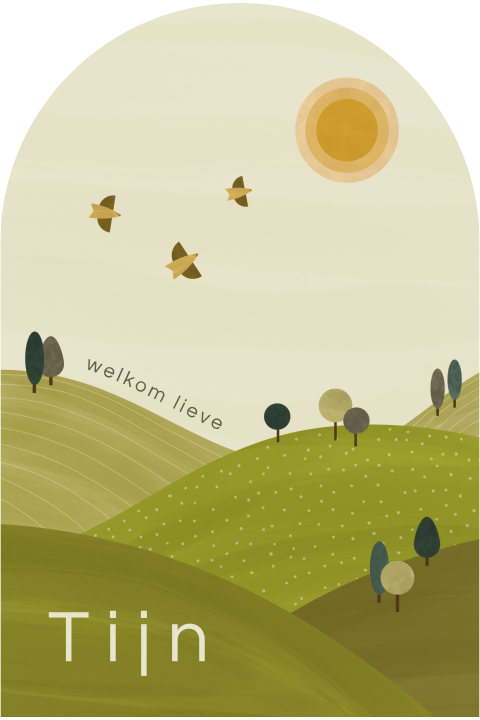 geboortekaartje Tijn in boogvorm met landschap en vogels