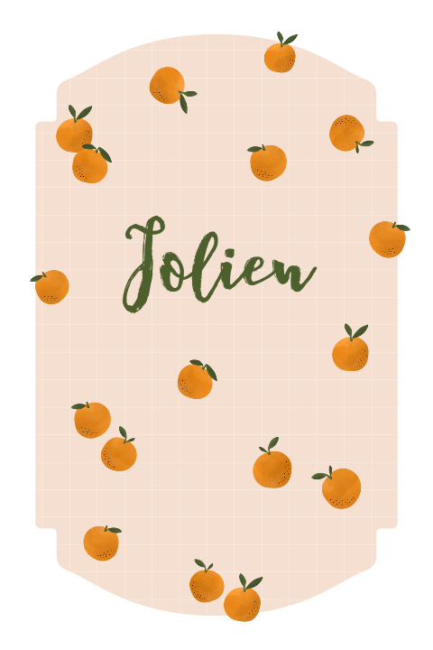 geboortekaartje Jolien met sinaasappels
