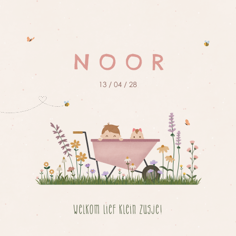 geboortekaartje Noor met kruiwagen, baby en grote broer in bloemenveld