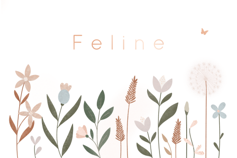 geboortekaartje Feline met veldbloemen liggend