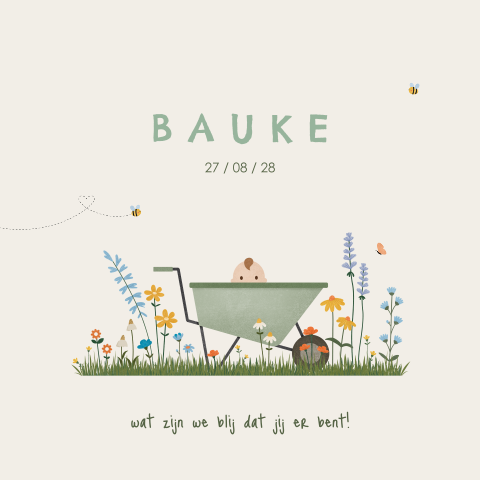 geboortekaartje Bauke met kruiwagen, baby en bloemen