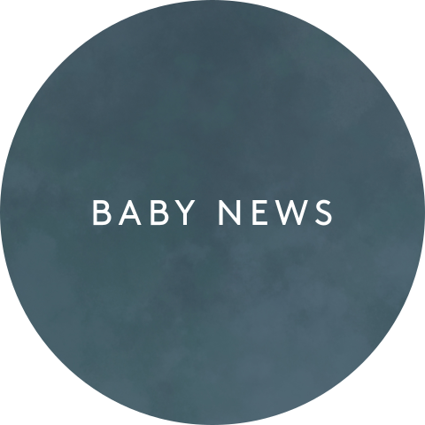 sluitzegel geboortekaartje baby news