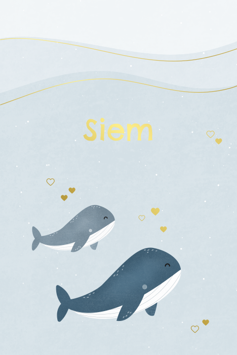 geboortekaartje Siem met walvissen