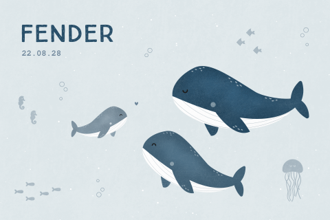 poster 60x40 cm Fender met walvissen