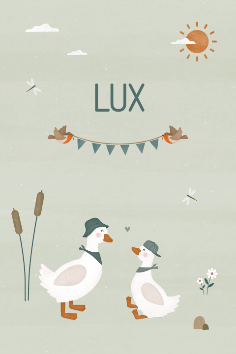 geboortekaartje Lux met ganzen broertjes