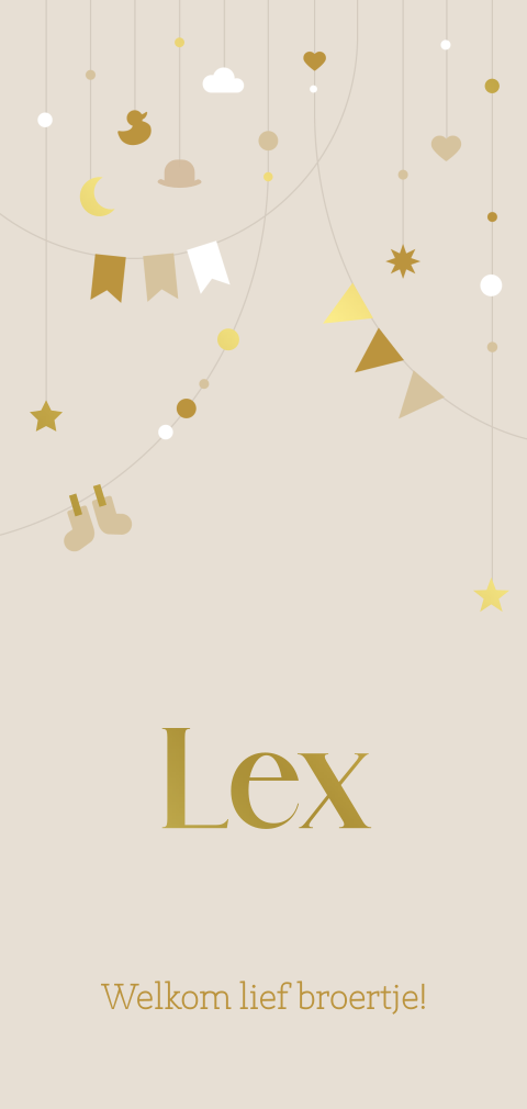 geboortekaartje Lex met slingers en foliedruk