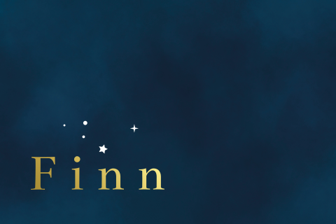 geboortekaartje Finn minimalistisch met sterretjes dubbel