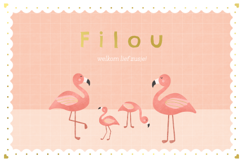 geboortekaartje met flamingo familie