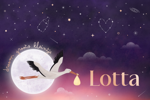 geboortekaartje met maan, ooievaar en sterrenhemel