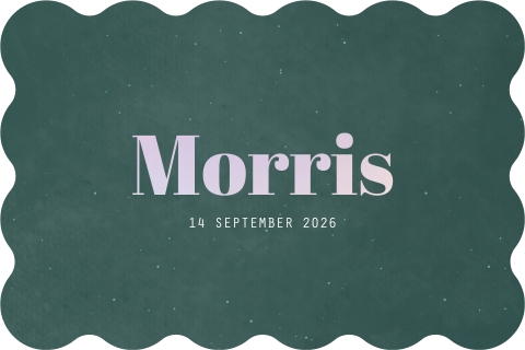 geboortekaartje Morris in bijzondere vorm met holografische folie
