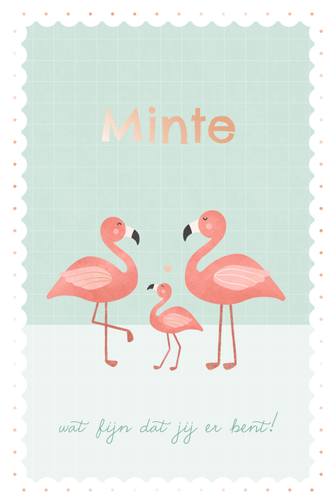 geboortekaartje Minte met flamingo gezin