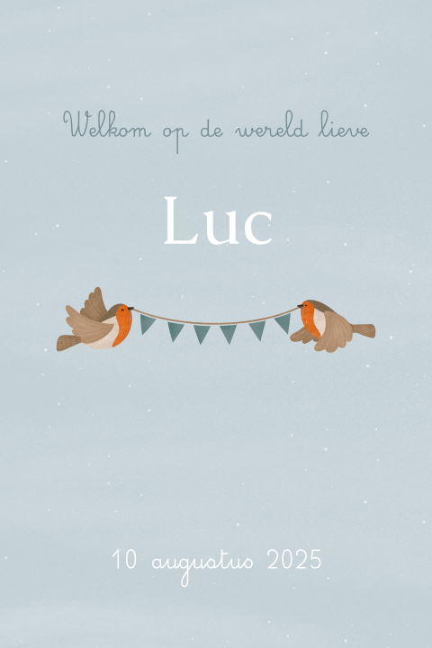 geboortekaartje Luc met roodborstjes en slinger