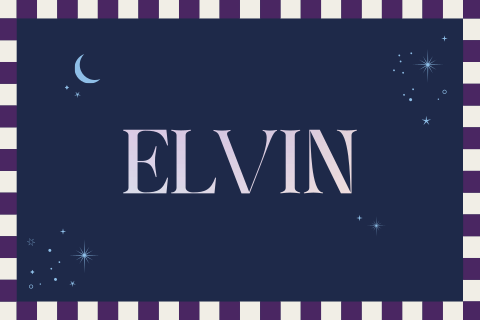 geboortekaartje Elvin met geblokte rand en foliedruk