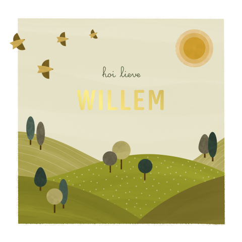 geboortekaartje Willem met landschap en vogels