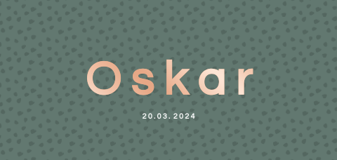 geboortekaartje jongen panorama stippenprint