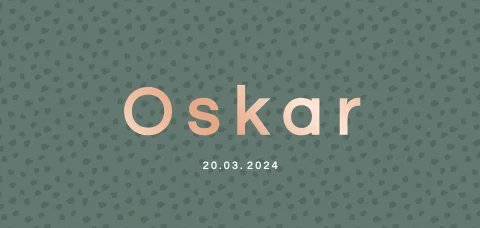 geboortekaartje jongen panorama stippenprint