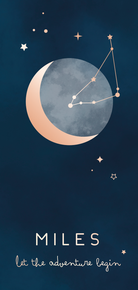 geboortekaartje Miles met sterrenbeeld in folie