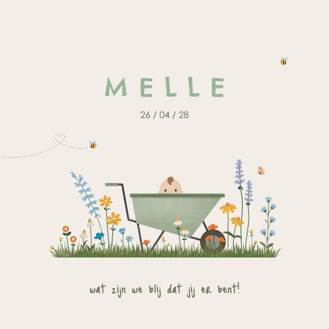 geboortekaartje Melle met kruiwagen baby en bloemen